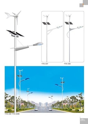 高郵市富華照明器材廠 專業供應250W LED太陽能道路照明燈及景觀庭院燈