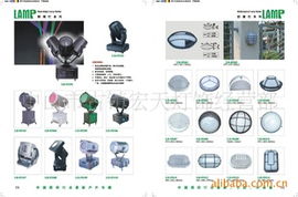道路照明燈 產品類型與應用場景全解析